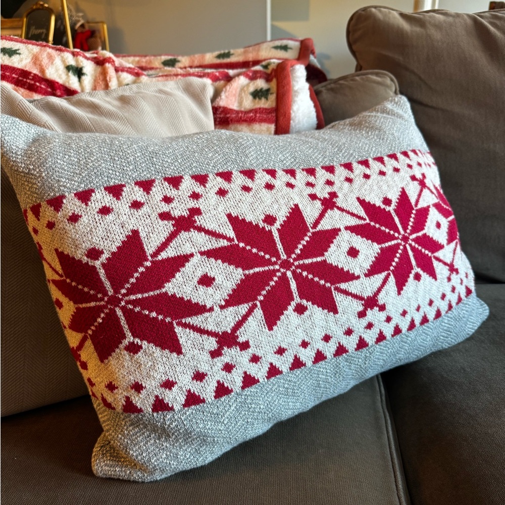 Festive Homegoods Christmas Pillow